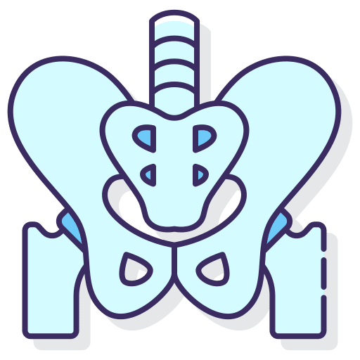 Pelvis healthcare and medical healthcare medical icon