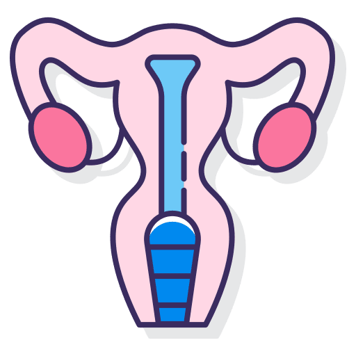 Uterus ovary healthcare anatomy icon