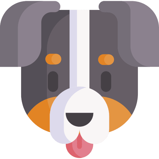 Bernese mountain zoology breed animals icon
