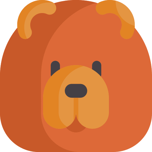 Chow chow zoology breed animals icon