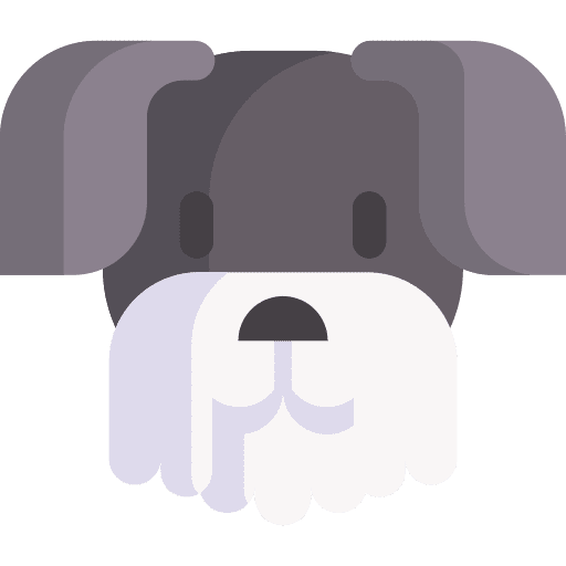 Miniature schnauzer miniature schnauzer pet zoology icon