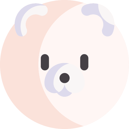 Pomeranian animals breed pomeranian icon