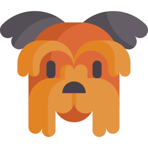Yorkshire terrier breed zoology pet icon