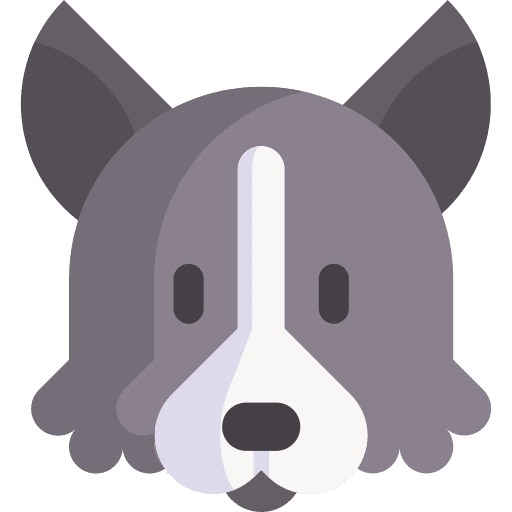 Border collie animal kingdom pet zoology icon Border collie animal kingdom pet zoology icon
