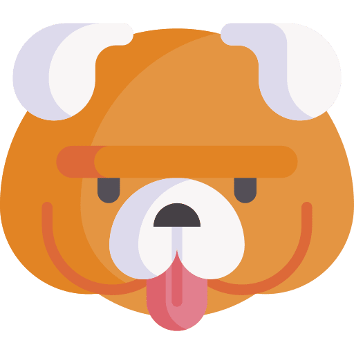 Bulldog pet animals zoology icon Bulldog pet animals zoology icon