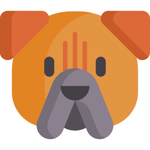 Bullmastiff pet zoology breed icon Bullmastiff pet zoology breed icon