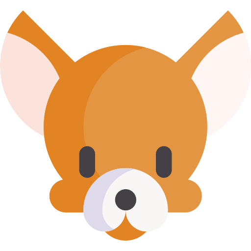 Chihuahua breed animals pet icon Chihuahua breed animals pet icon