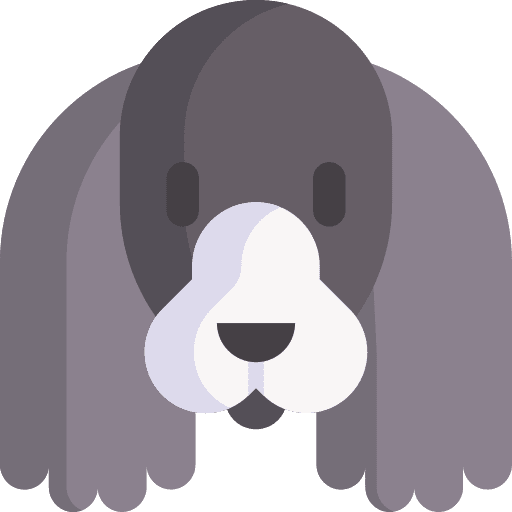 Cocker spaniel pet dog animals icon Cocker spaniel pet dog animals icon