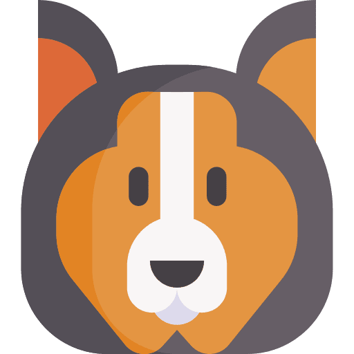 Collie zoology dog animal kingdom icon Collie zoology dog animal kingdom icon