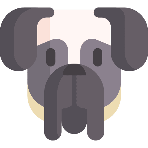 English mastiff breed english mastiff zoology icon English mastiff breed english mastiff zoology icon