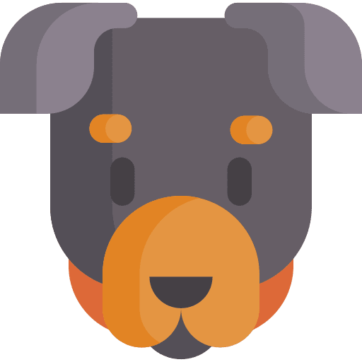 Rottweiler dog animals zoology icon