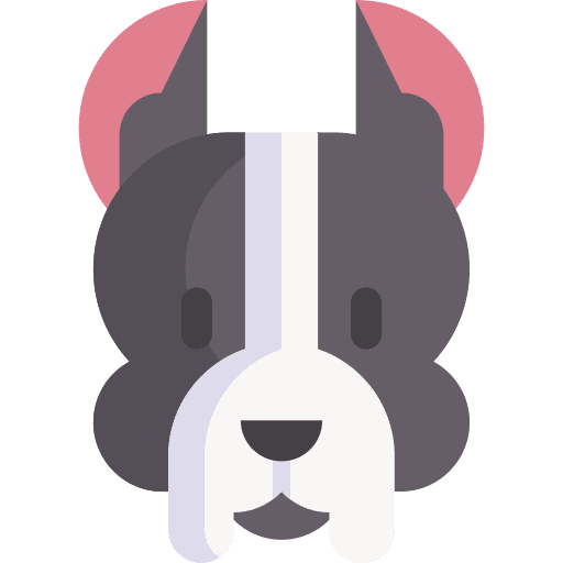 American staffordshire terrier animal kingdom pet zoology icon American staffordshire terrier animal kingdom pet zoology icon