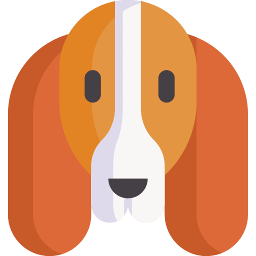 Basset hound zoology animal kingdom animals icon Basset hound zoology animal kingdom animals icon