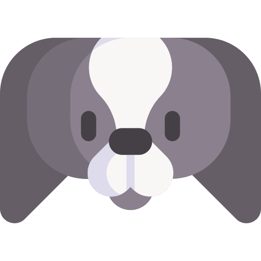 Japanese chin animal kingdom animals pet icon Japanese chin animal kingdom animals pet icon