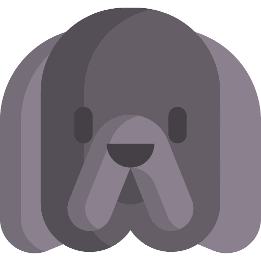 Newfoundland dog breed animal kingdom icon Newfoundland dog breed animal kingdom icon