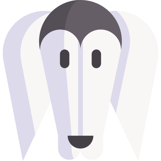 Saluki animal kingdom animals pet icon Saluki animal kingdom animals pet icon