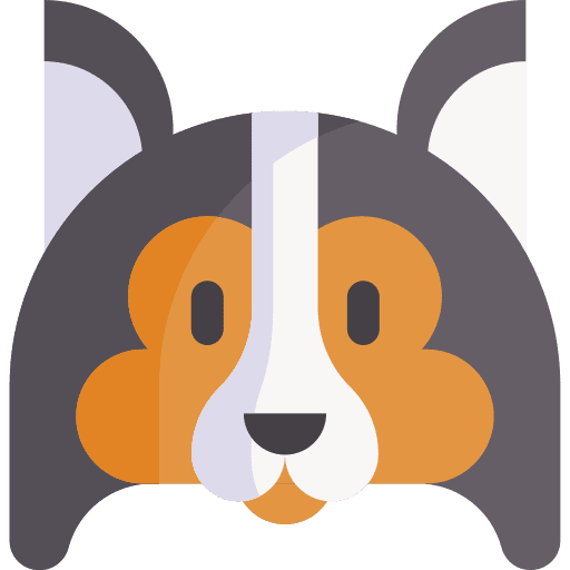 Shetland sheepdog pet breed dog icon Shetland sheepdog pet breed dog icon