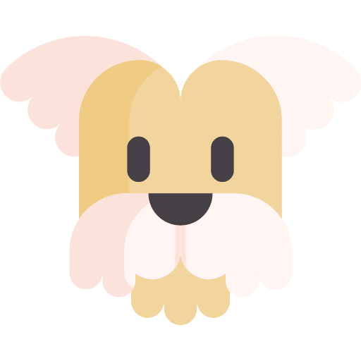 Shih tzu shih tzu animal kingdom zoology icon Shih tzu shih tzu animal kingdom zoology icon