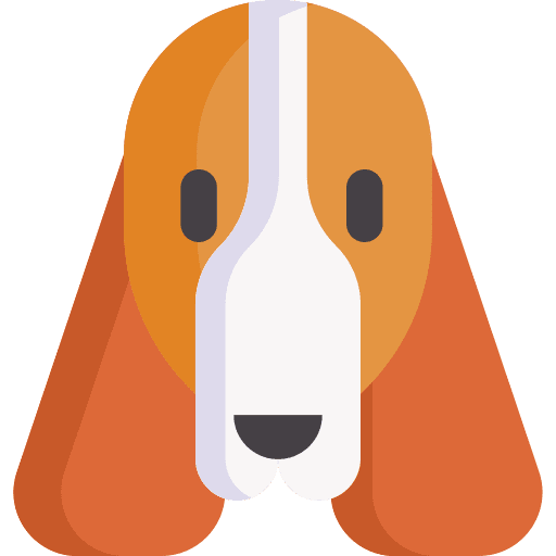 Springer spaniel dog breed zoology icon Springer spaniel dog breed zoology icon