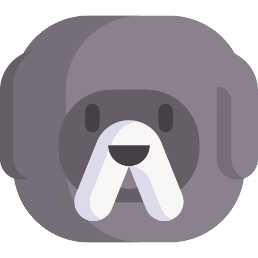 Tibetan mastiff tibetan mastiff breed dog icon Tibetan mastiff tibetan mastiff breed dog icon
