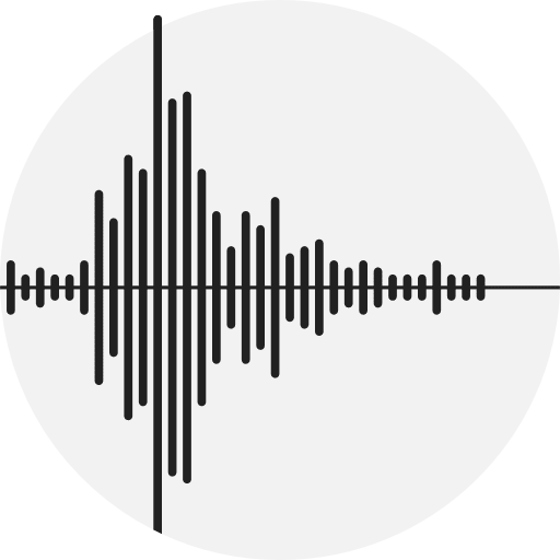 Voice logotype logo logos icon