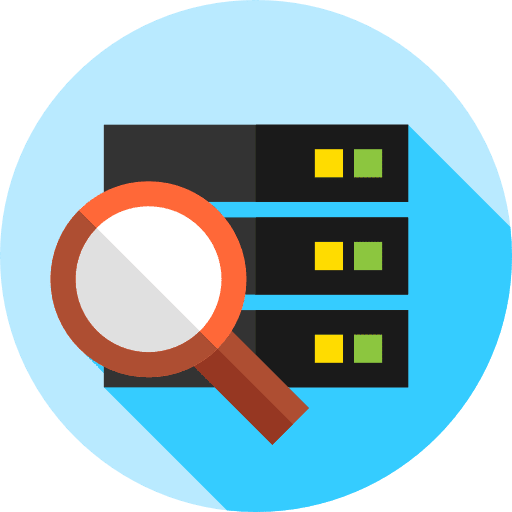 Server network storage loupe icon