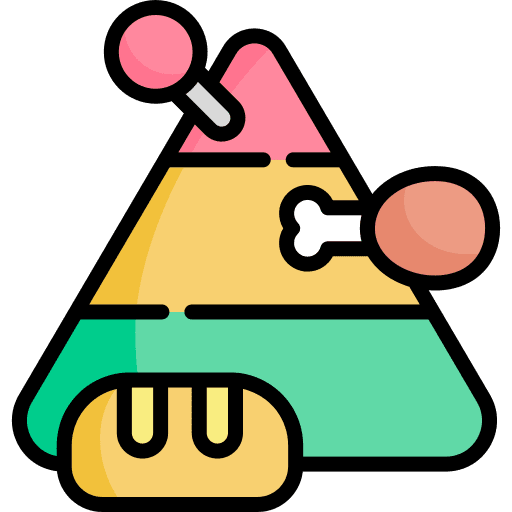 Pyramid healthy healthcare and medical food icon Pyramid healthy healthcare and medical food icon
