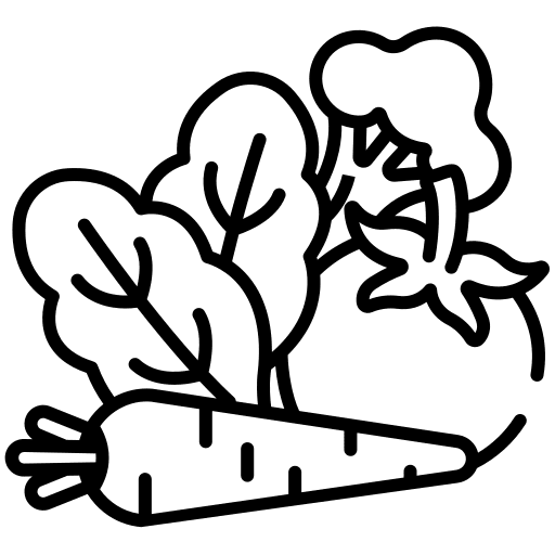 Vegetable vegetarian organic fiber icon